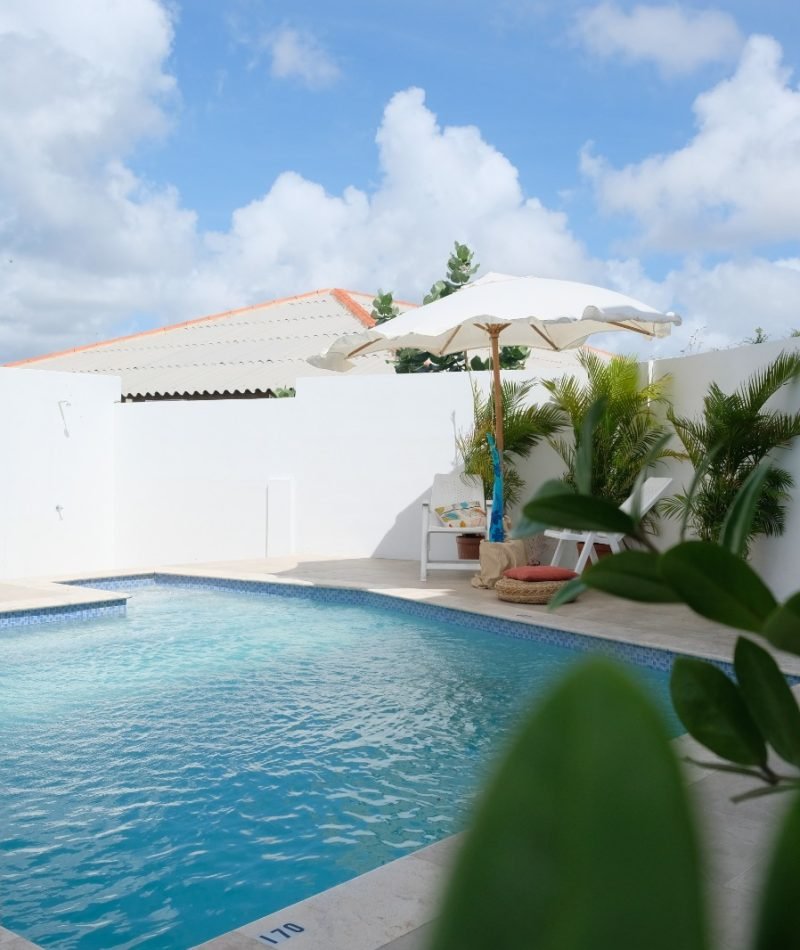 whatsapp image 2023 01 31 at 13.07.54 (1)